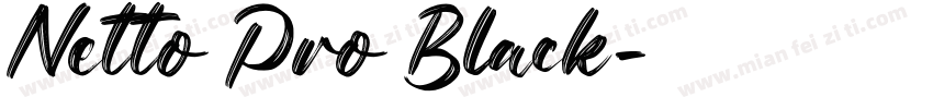 Netto Pro Black字体转换